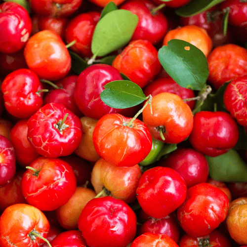 acerola-kers