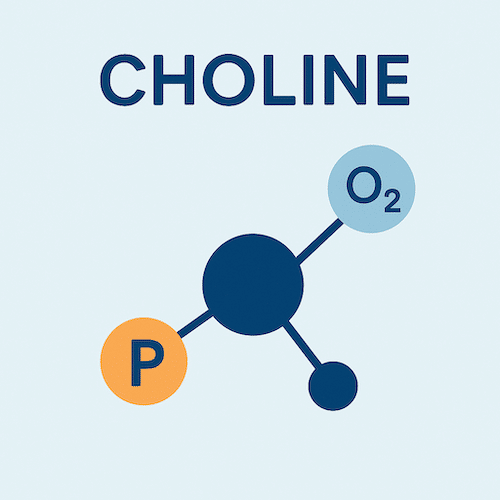 choline
