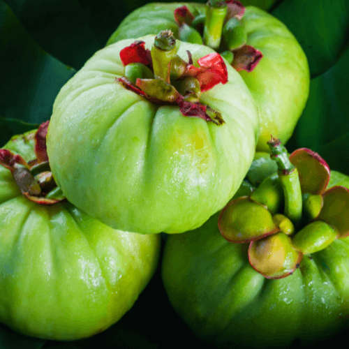 garcinia